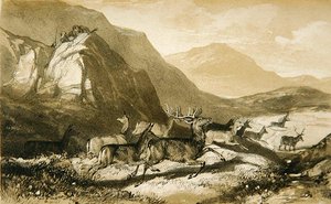 Shots from Cairn Cherie, from The Art of Deer Stalking: Illustrated by a Narrative..., 1839 by William Scrope